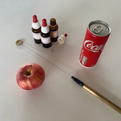 Basistraining biotensor