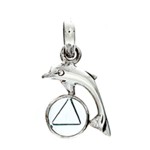 Dolfijnhanger Aqua Tachyon Nederland ATTI